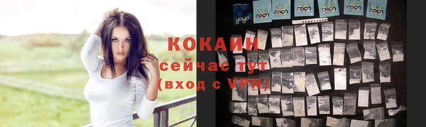 эйфоретик Дмитров