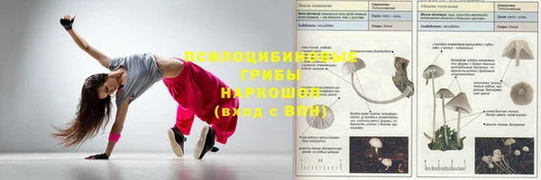эйфоретик Дмитров