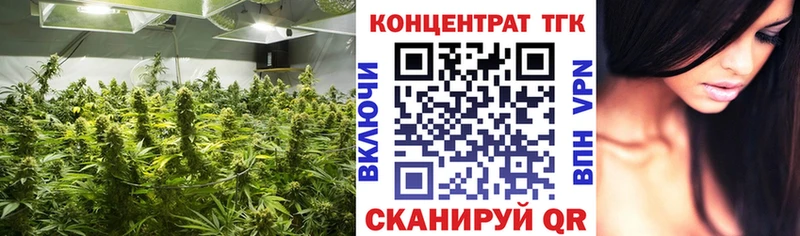 ОМГ ОМГ ТОР  Зея  Дистиллят ТГК Wax  что такое  