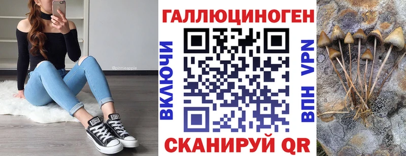 Галлюциногенные грибы Psilocybe  мега tor  Зея  наркошоп 